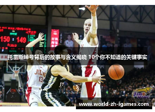 托雷斯绰号背后的故事与含义揭晓 10个你不知道的关键事实