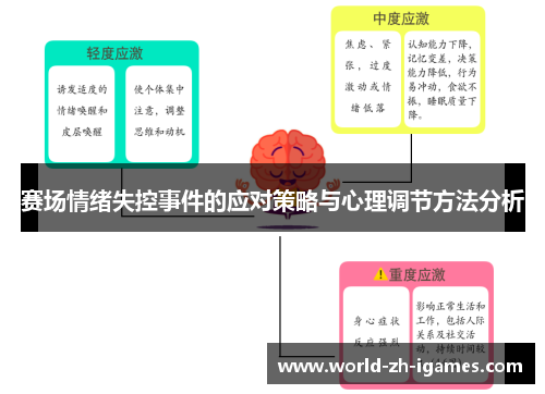 赛场情绪失控事件的应对策略与心理调节方法分析