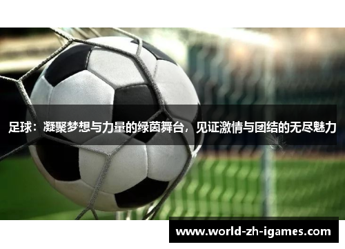 足球：凝聚梦想与力量的绿茵舞台，见证激情与团结的无尽魅力