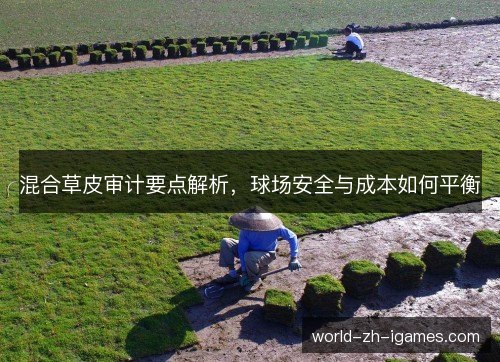 混合草皮审计要点解析，球场安全与成本如何平衡